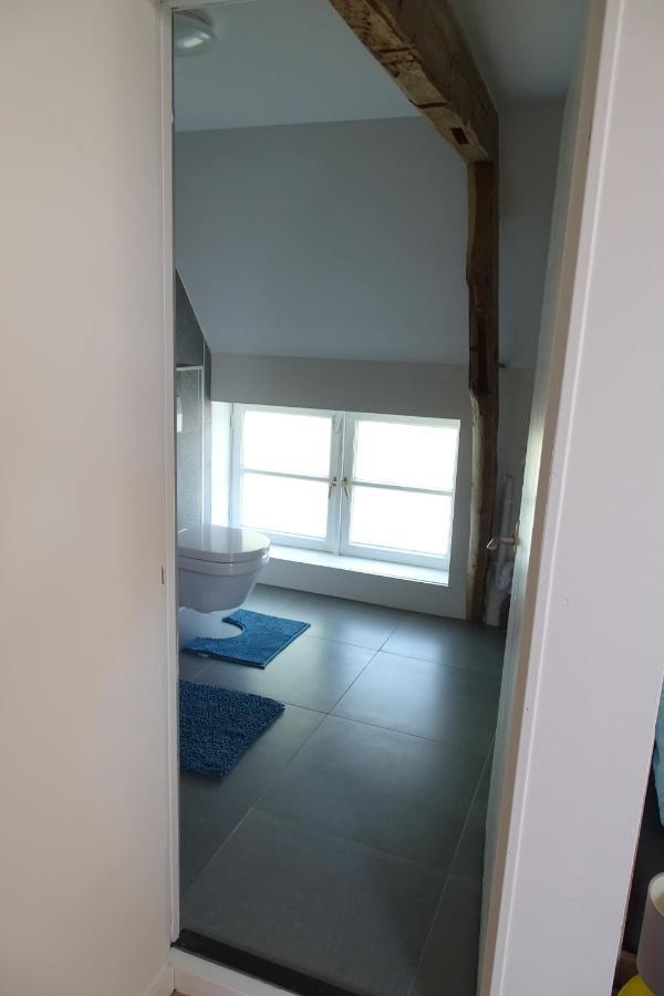 Appartement In Boerderij Uit 1870 เอลสท์ ภายนอก รูปภาพ